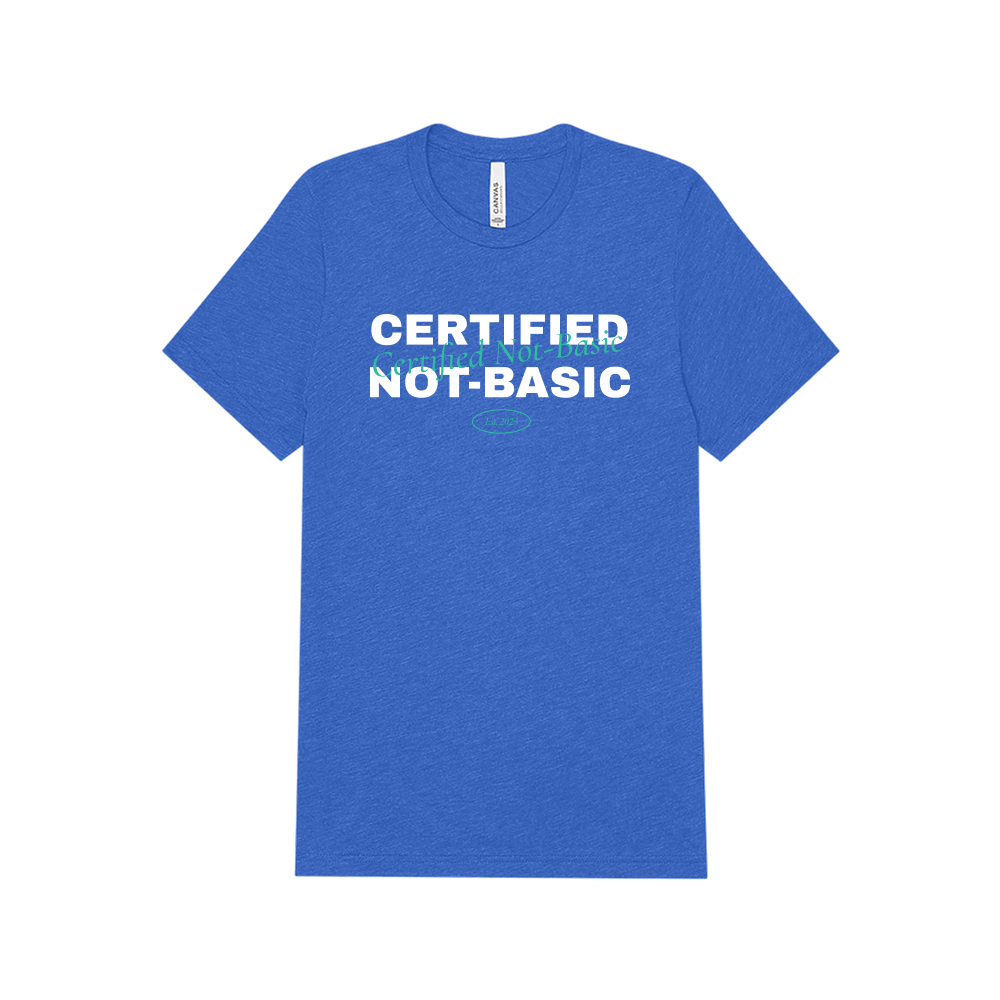 Bella+Canvas® Unisex Triblend Shirt 3413 - Wayo Product Image