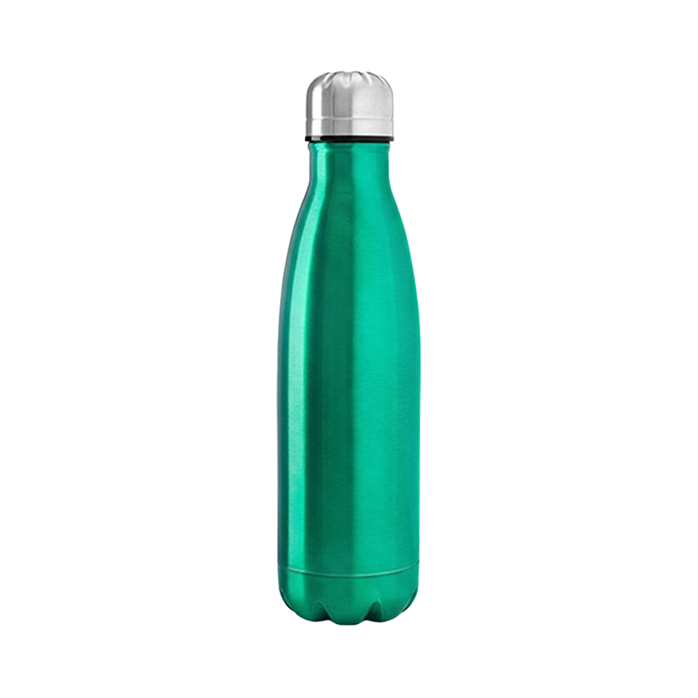 17 oz. Classic Stainless Steel Water Bottle (Fast US Shipping) - HLDW0005-#6fb9a1-6.png